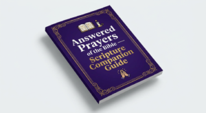 Scripture Companion Guide Mockup